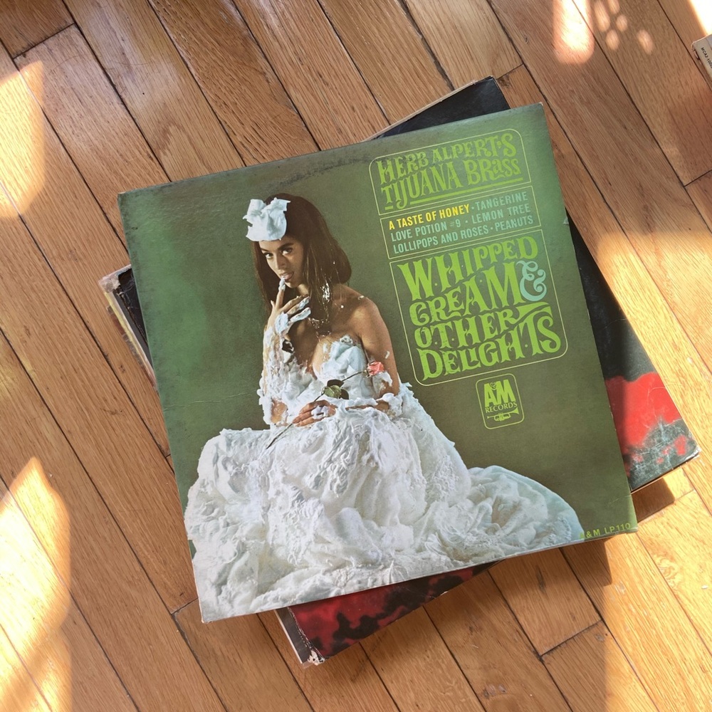 ✨MYSTERY✨ Vinyl Record Bundle!